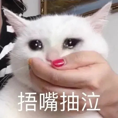 表情包又更新了,拿图吱声 饭 偷听 等待,想吃爱情的苦 任你处置