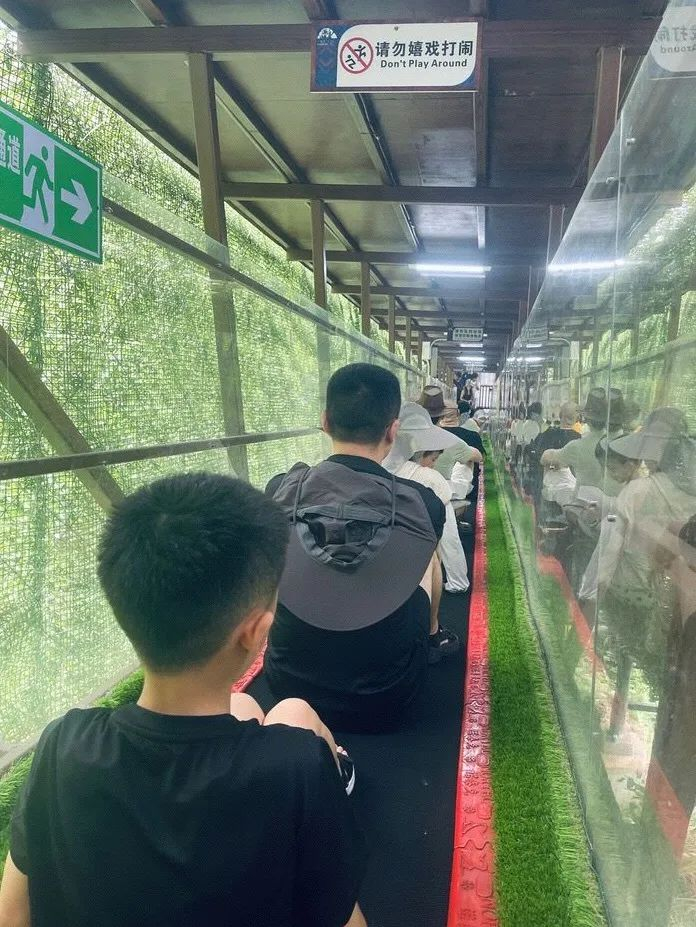 广西德天跨国瀑布景区“飞天魔毯”。图源：公开网络