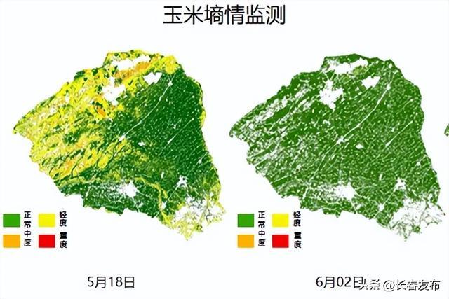 从天边到身边 吉林一号卫星助力吉林高质量发展