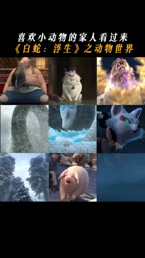被金毛犼萌到了!电影白蛇浮生