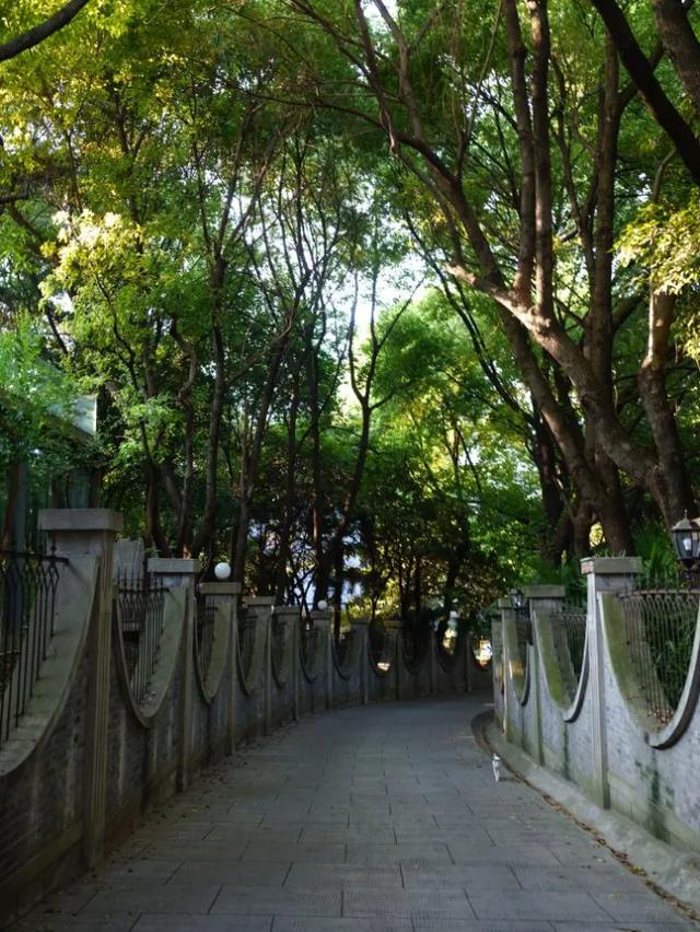 带上最小全画幅微单去拍照，是一种什么体验？-最小全画幅镜头是什么