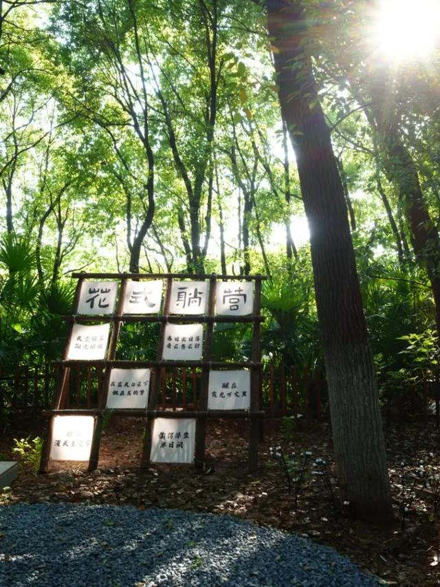 带上最小全画幅微单去拍照，是一种什么体验？-最小全画幅镜头是什么