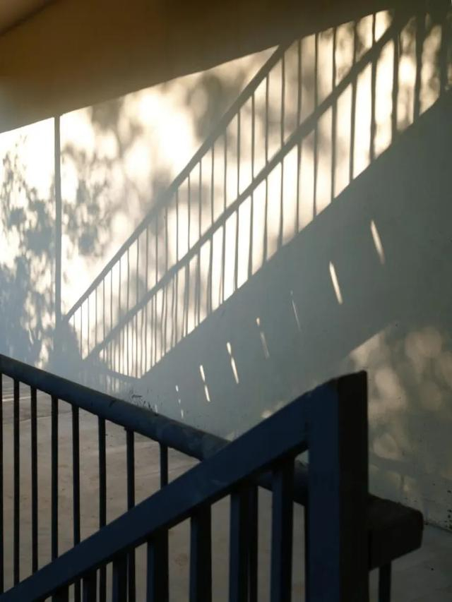 带上最小全画幅微单去拍照，是一种什么体验？-最小全画幅镜头是什么