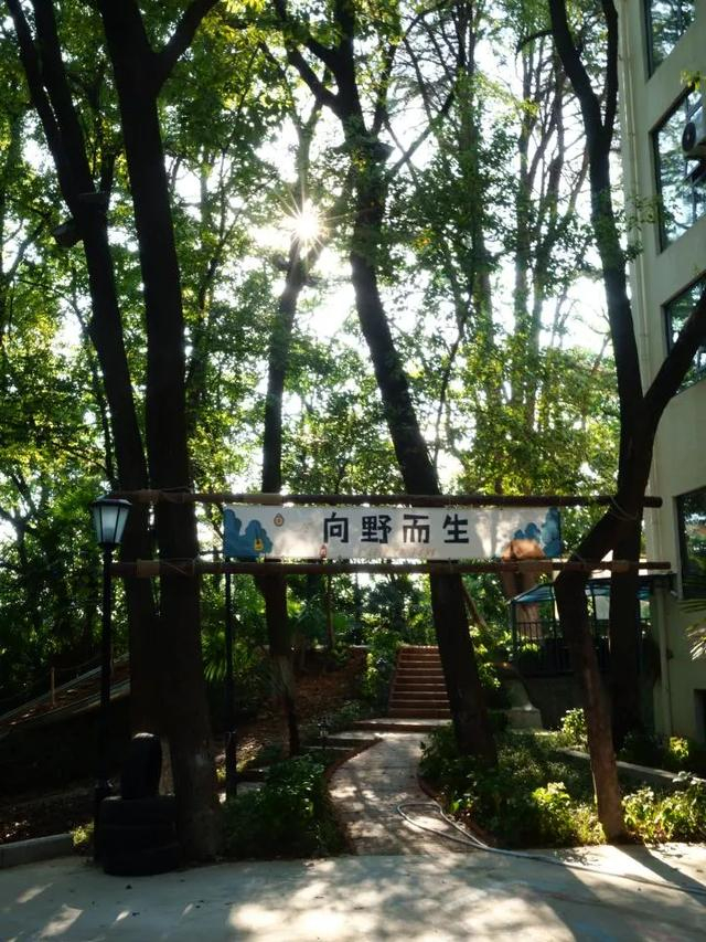 带上最小全画幅微单去拍照，是一种什么体验？-最小全画幅镜头是什么