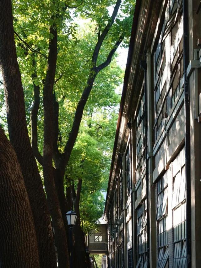 带上最小全画幅微单去拍照，是一种什么体验？-最小全画幅镜头是什么