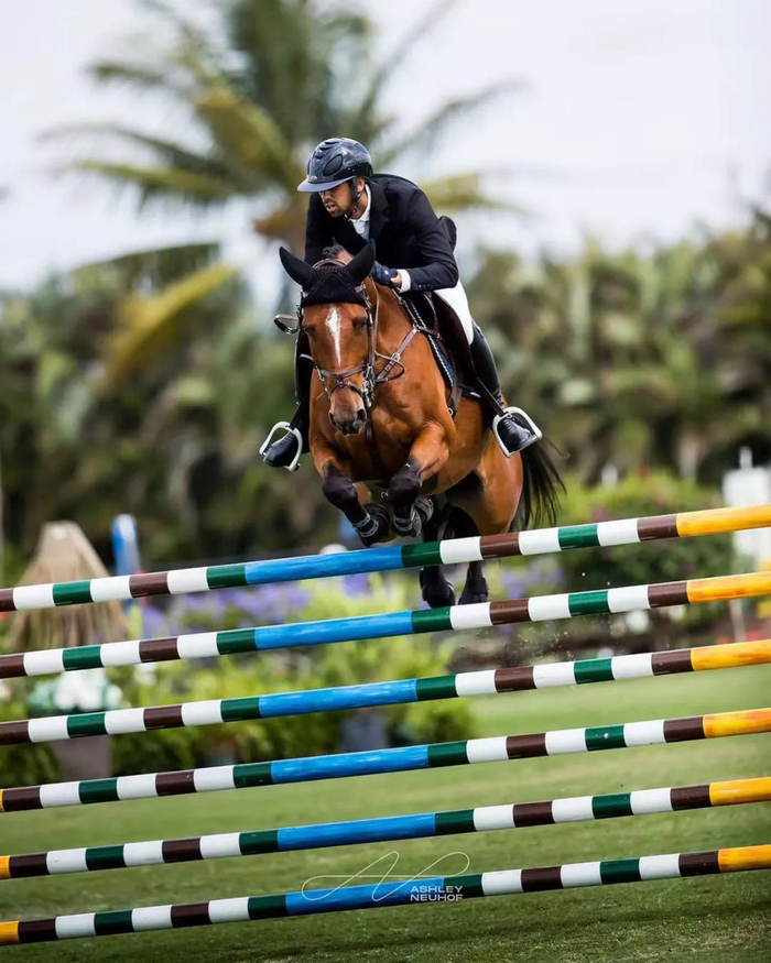 马术|比尔·盖茨|奥运会_新浪新闻