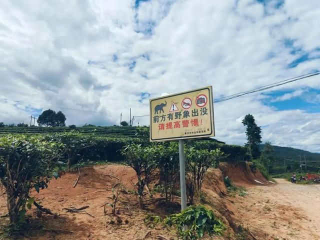 大渡岗乡的一处警示牌。图/九派新闻