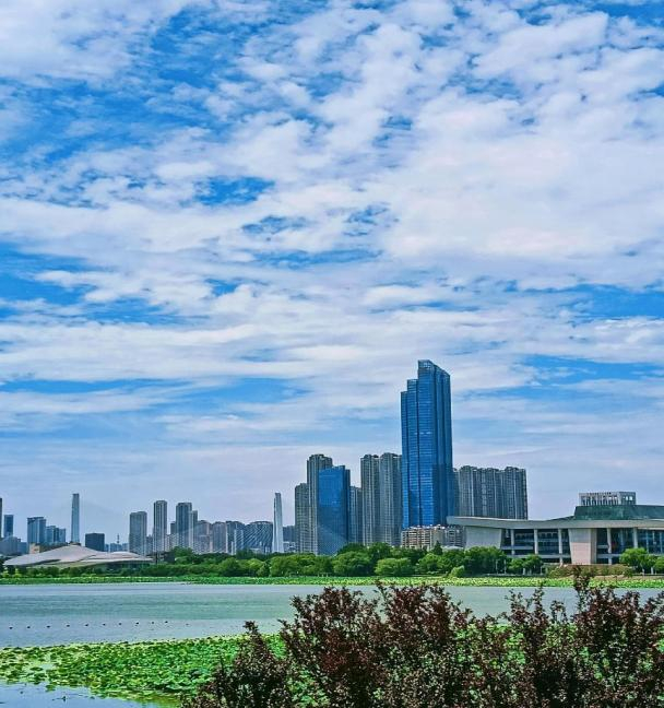 月湖风景区实景图