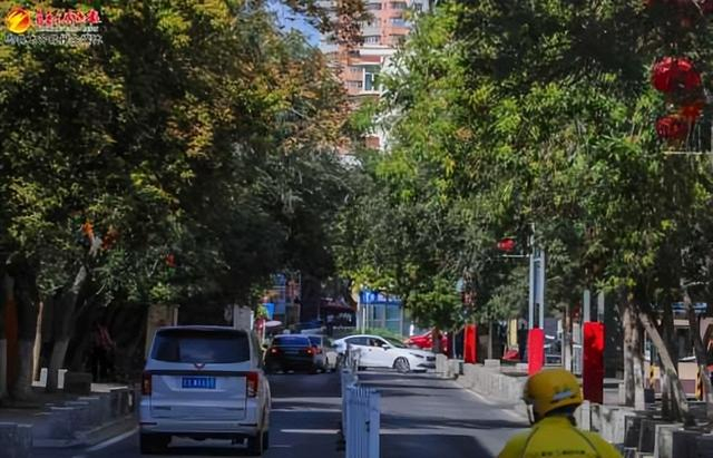 　　明德路道路两旁绿树成荫，阳光透过树叶洒向地面。（8月13日摄）记者米热扎提·木塔力甫摄