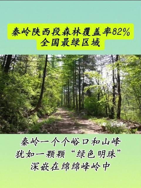 秦岭陕西段森林覆盖率82%全国最绿区域