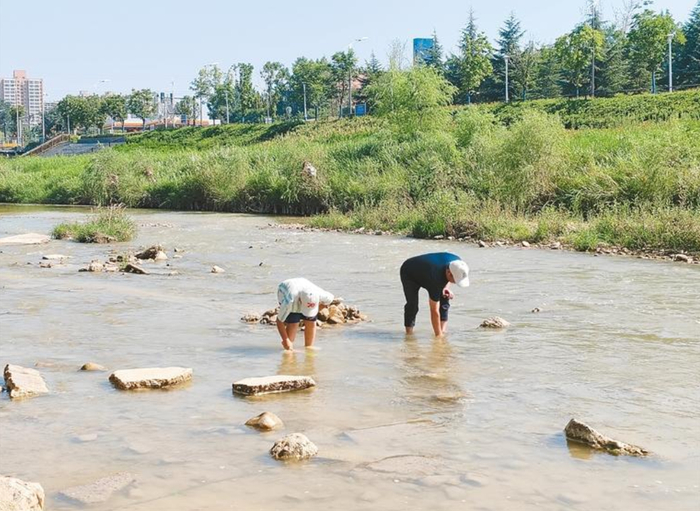市民在河中玩耍