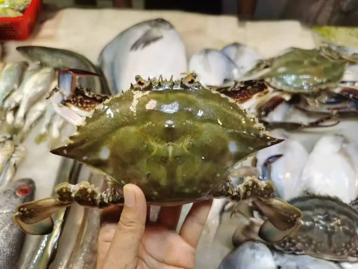 你尝了吗?|东海|海鲜|梭子蟹_新浪新闻