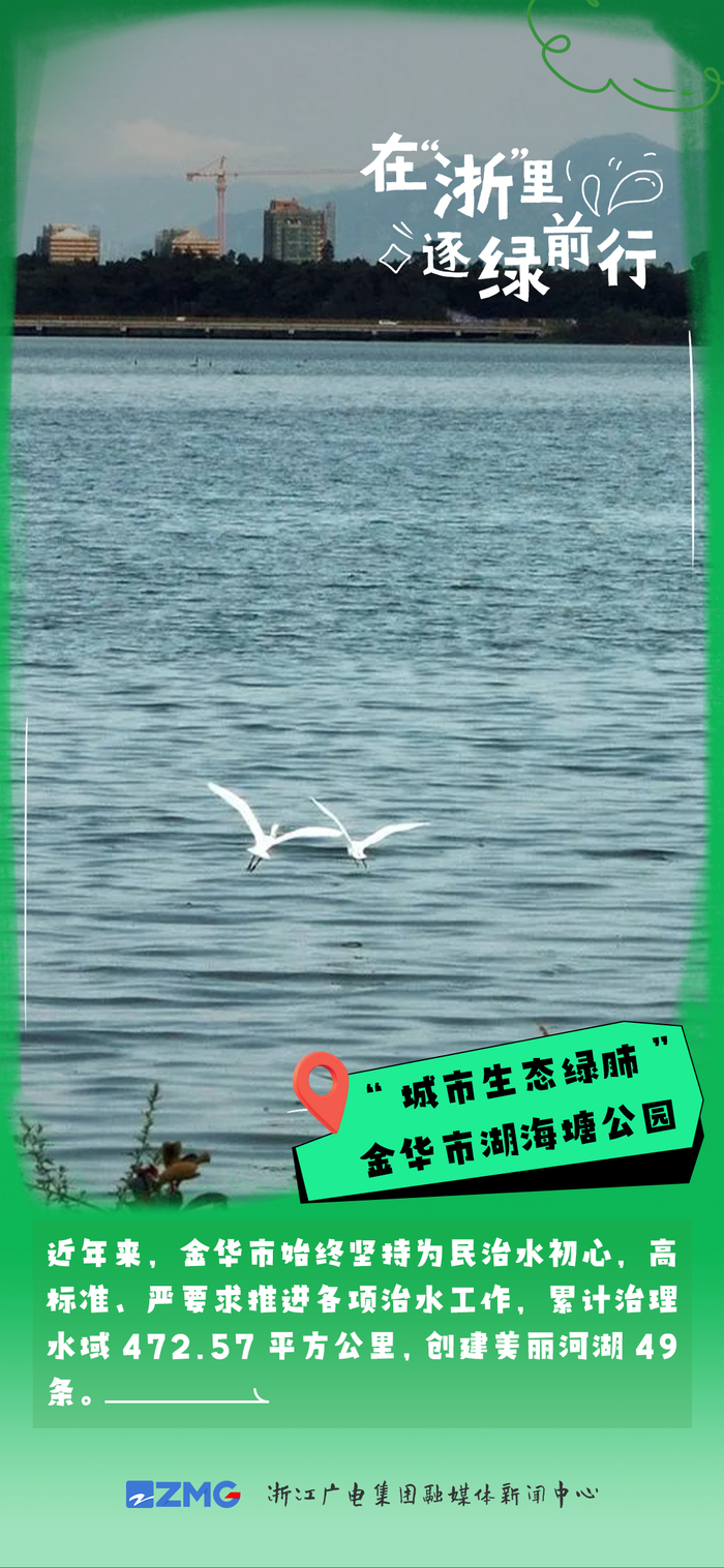 (莲都区融媒体中心 长兴县融媒体中心 金华市新闻传中心 玉环市传媒