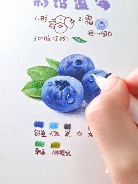 彩铅画丨今天一起来画水润的蓝莓吧08 是不是超简单的,你学会了吗!