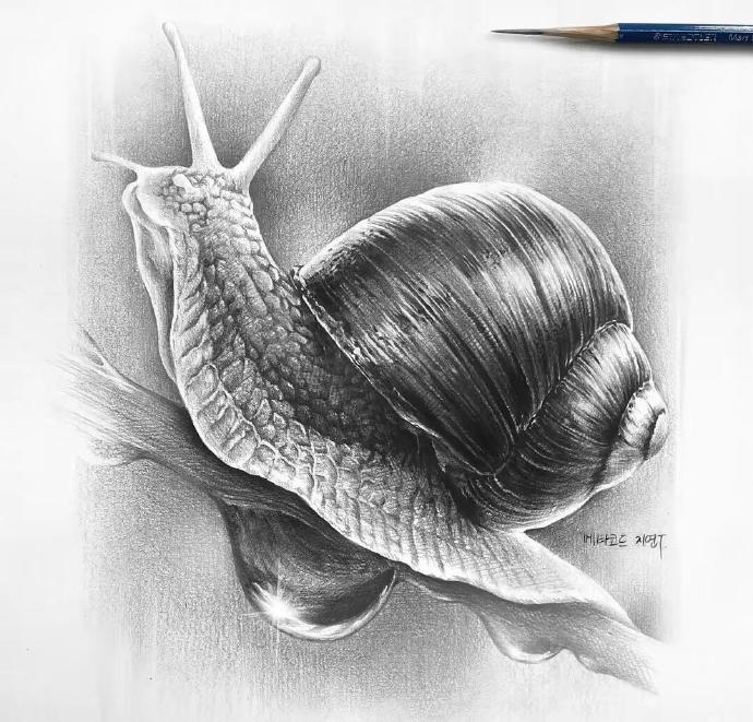 佳作欣赏|素描的细节,质感 分享作品来自韩国的素描画家