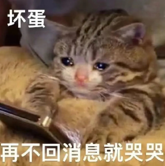 表情包又更新了,拿图互动 676767 每天都要笑脸相迎,恨透这个