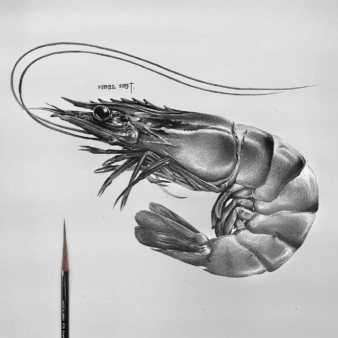 佳作欣赏|素描的细节,质感 分享作品来自韩国的素描画家