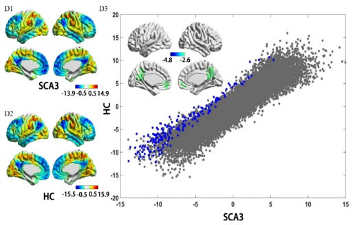 CNS Neurosci Ther封面文章: 脊髓小脑共济失调3 型中的功能和结构连接中断——基于梯度分析的探索__财经头条__新浪财经