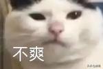[流言板]爱德华兹首节12投8中独得21分，超过爵士全队总得分20分