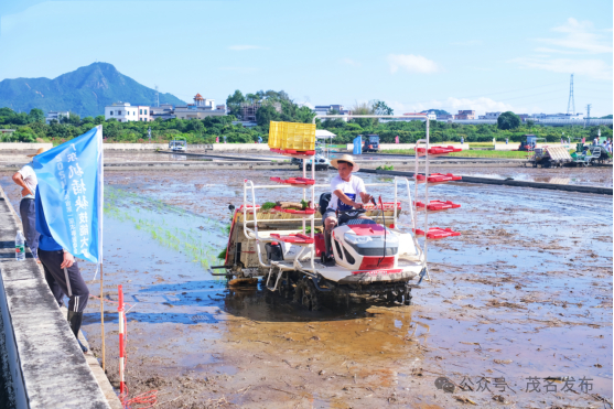 广东机插秧技能大赛