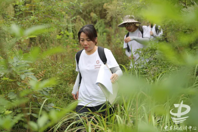 曾艳前往工作途中 图：忠县融媒体中心