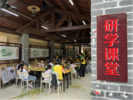 分界镇杏花村研学活动