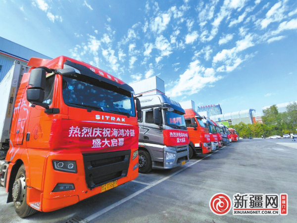 8月16日，在海鸿冷链仓库区，海鸿国际的冷链车辆整装待发。（全媒体记者唐红梅摄）