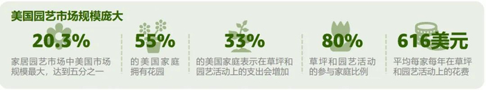 图片来源：亚马逊