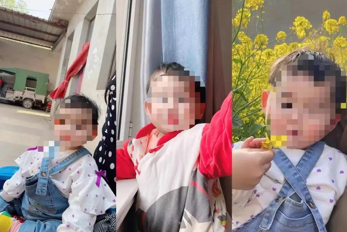 田田生前生活照片。图源：受访者提供