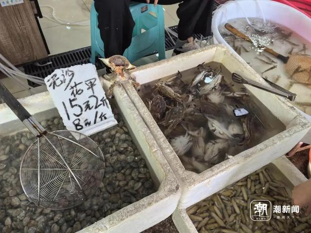 潮新闻记者 陈颖 摄