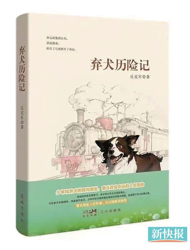 《弃犬历险记》：AI与文学的交会，情感与科技的探索