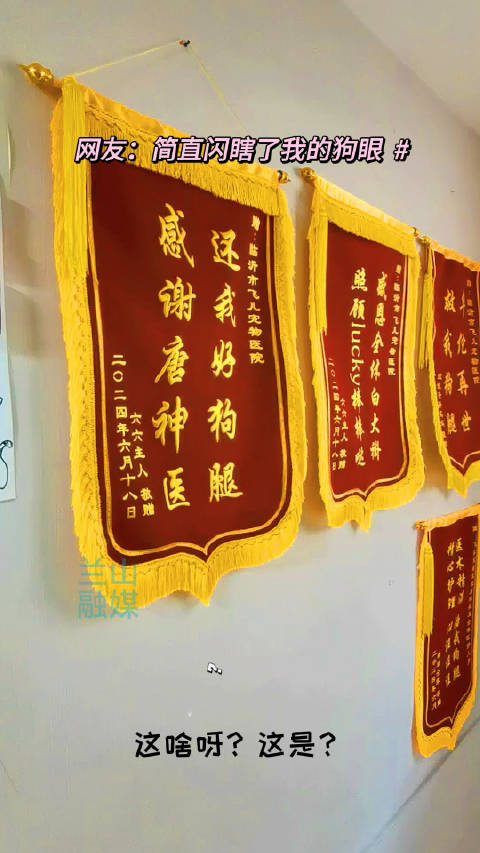 宠物医院挂满锦旗