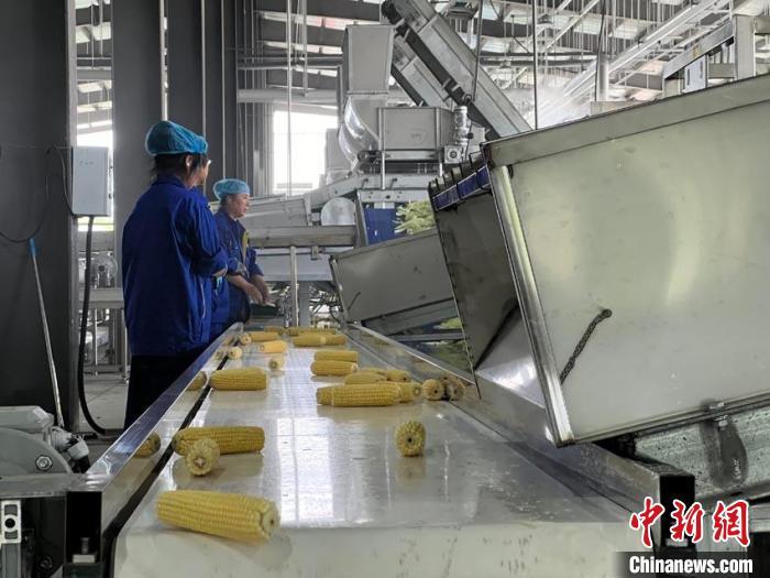 适合农村办厂加工项目的有哪些(适合农村办厂加工项目的有哪些名字)