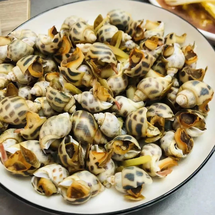 "山珍遇到海味",高铁直达北海!去涠洲岛实现海鲜自由