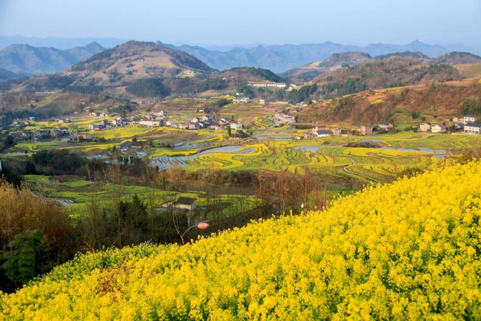 我和美丽乡村有个约|"凤堰梯田 诗画田园"朴秀黄龙