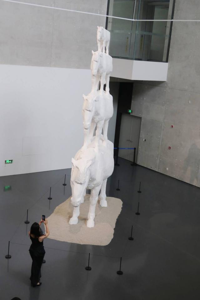 鹤鹤为记者拍摄的照片