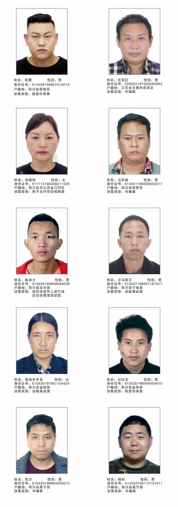 犯罪主犯从犯