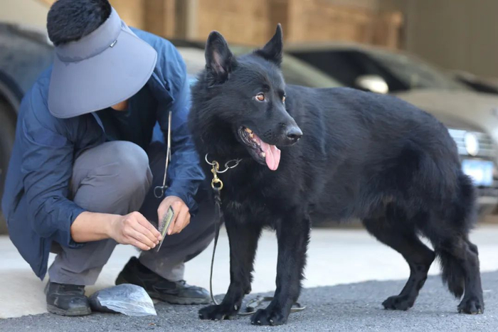 宋峥和安迪 摄影：王壮飞 / 中国日报 