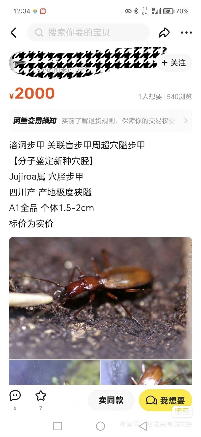 男子洞穴投药欲垄断"穴胫步甲" 伤害多大?