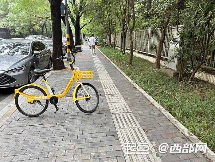 西安市雁塔区高新三路全瓷盲道砖