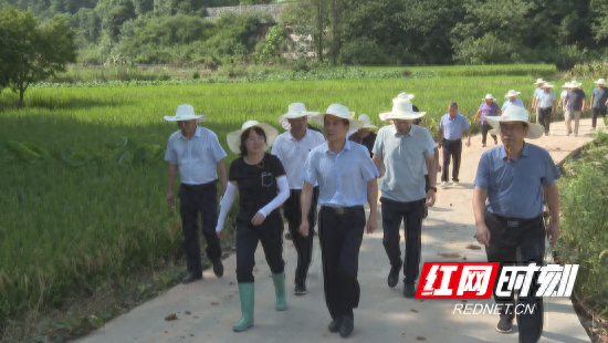 吴恢才到祁阳现场办公 推进灾后重建工作