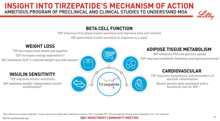 ▲Tirzepatide的潜在作用机制（图片来源：礼来官网）