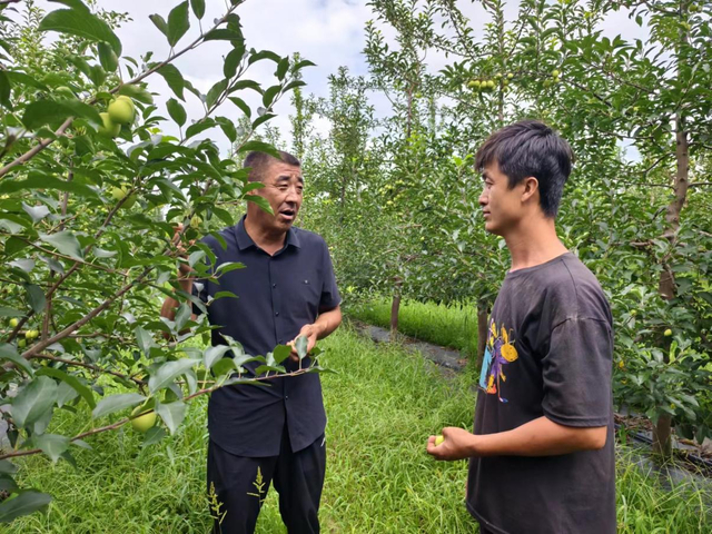 红满园果树专业合作社技术人员正忙着给社员们做疏果技术指导（程洪洋 摄）