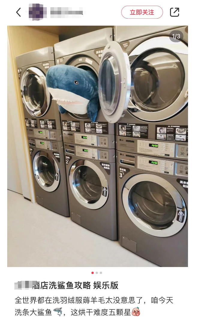 社交平台上有网友晒带公仔去酒店洗。图源：小红书截图