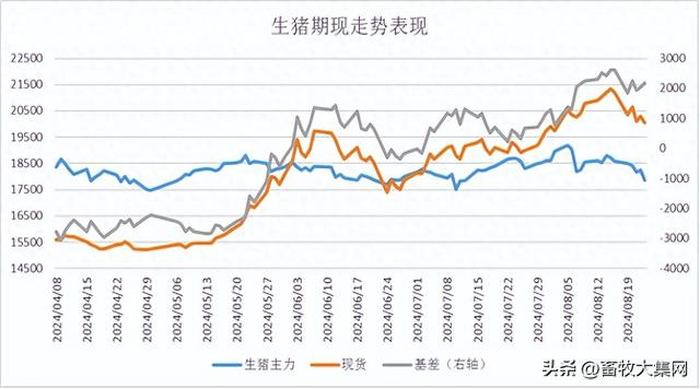 图:生猪期现及基差走势