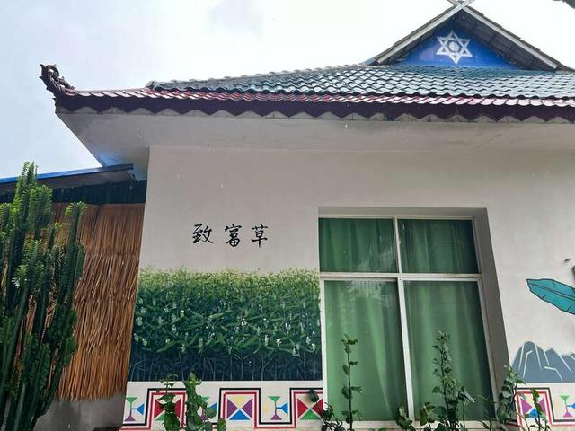 8月22日，大卡老寨村屋墙壁上绘制的跳蚤草。 中青报·中青网见习记者 李文慧/摄