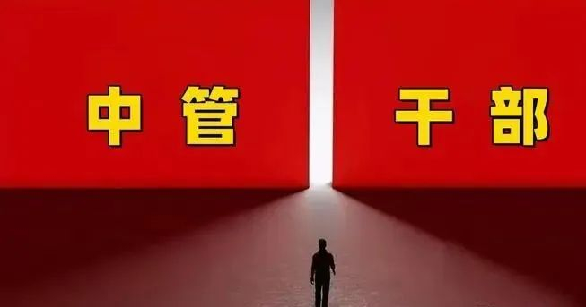 副部级央企董事长、总经理、副总级别和任命有何区别?|中央|国务院国资委|干部|中管|组织部_新浪新闻