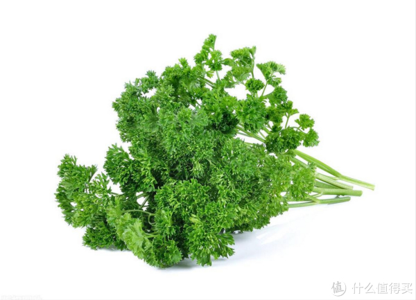 12种西餐常见香草大揭秘，让你的味蕾舞动起来