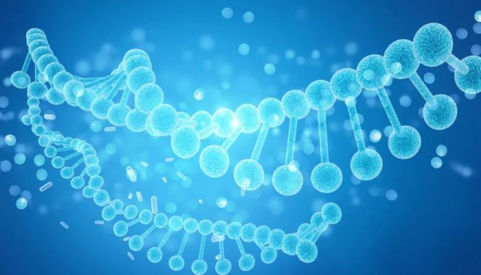 图 / 摄图网，基于VRF协议