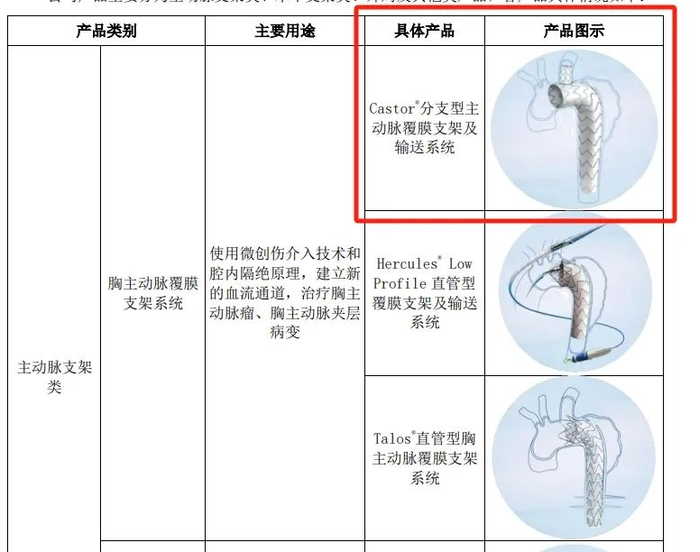 Castor支架产品图示 来源：2023年财报